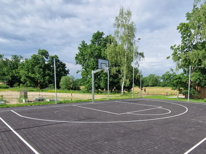 SteelForce 1.Mast Basketballständer in Tschechien